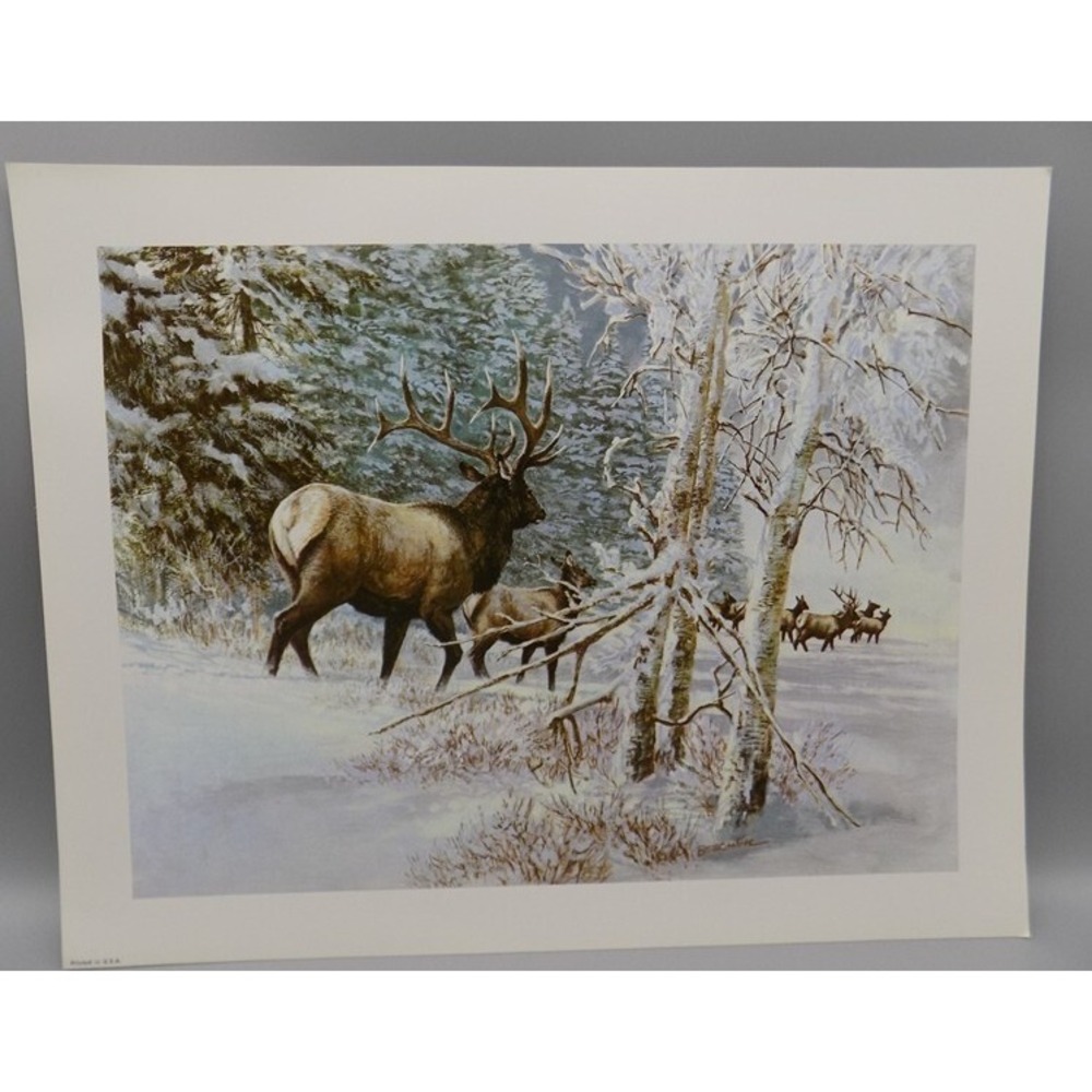 Tom Beecham Elk Art Print 11" x 14" Wildlife with 1 Inch Border Vintage Poster
